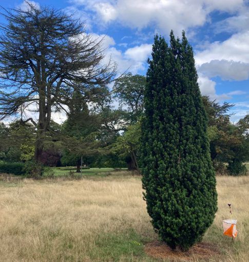 Orienteering at Allestree Park