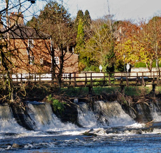 Darley Park Achieves Tripadvisor's Travellers Choice Award