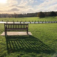 Allestree Park View Towards Lake 2021.jpg