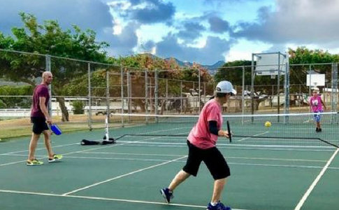 Pickleball Open Day