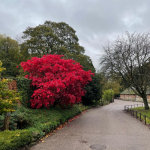 Image for Discover Autumn in Derby Parks