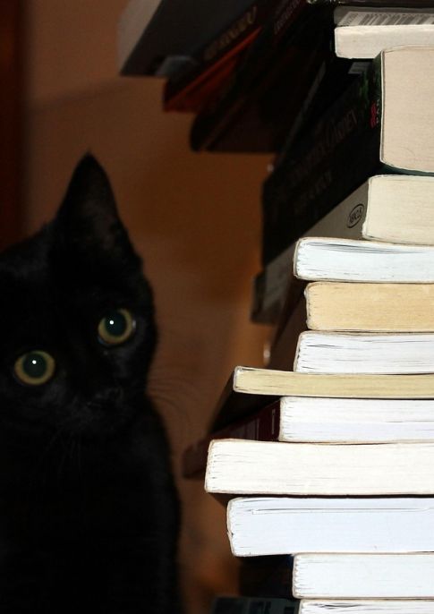 An Introduction to Ghost Stories - Writing Workshop