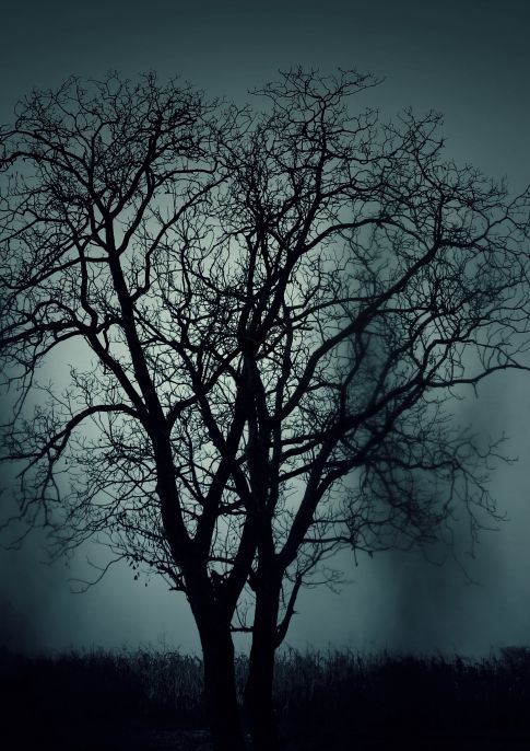 Ghosts, Legends and Lore of Derby