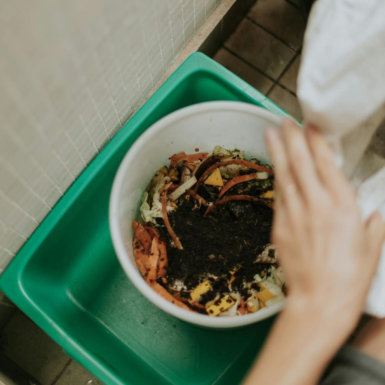 Image for Waste to Wonder