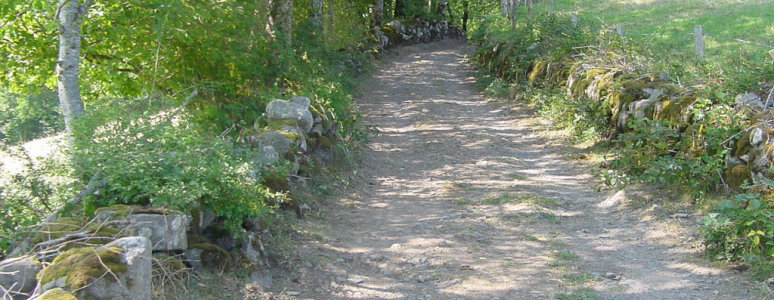 A path through the countryside