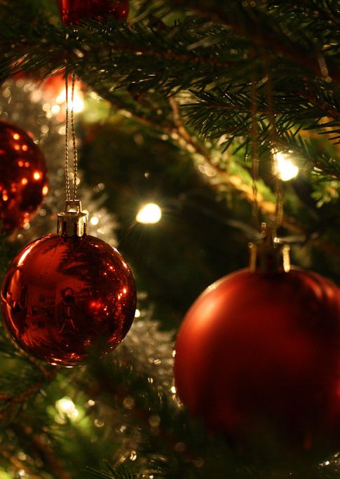 Alvaston Park Festive Fun