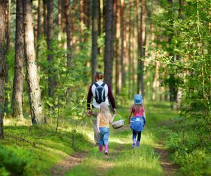 Image for link to Nature Trail Maps