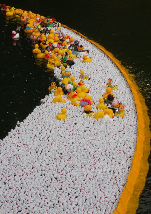 Ey Up Mi Duck Race 2015