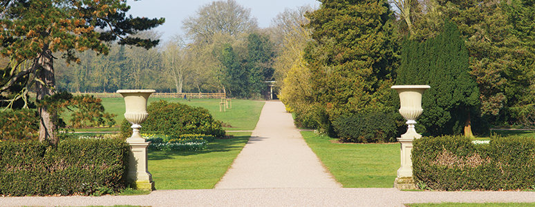 Dig for Victory Festival at Markeaton Park