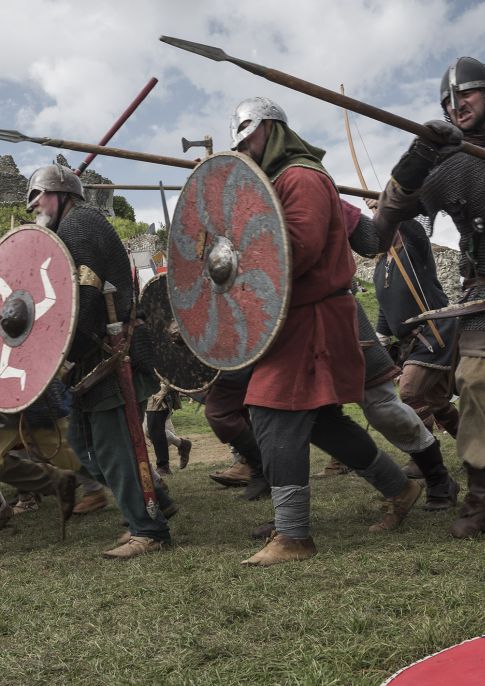 The Viking Festival