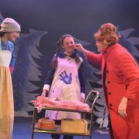 Kitty_Randle_as_Mrs_Barnileg_Emma_Bright_as_Naughty_Meg_Phil_Coggins_as_Miss_Fenneywhistle._Photo_Credit_Robert_Day.jpg