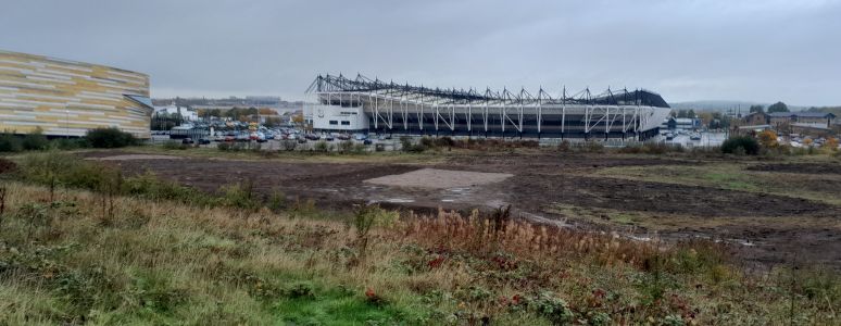 Derby Arena sits in the background with the wetland in the foreground