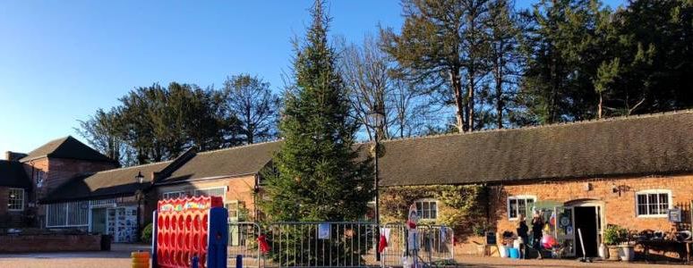 Some of the units at Markeaton Park Craft Village with a Christmas tree in front 