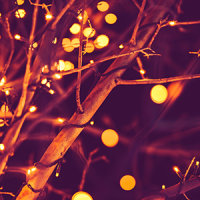 Christmas_Lights.png