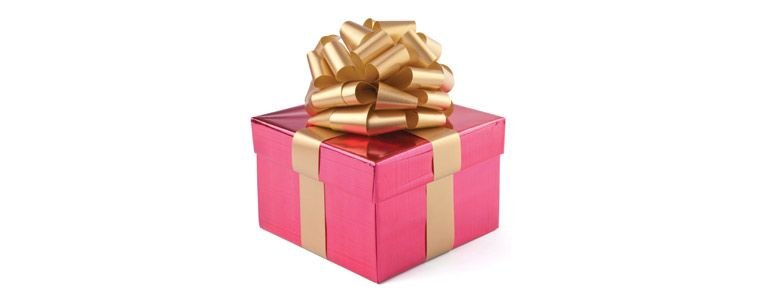 Christmas Gift Ideas