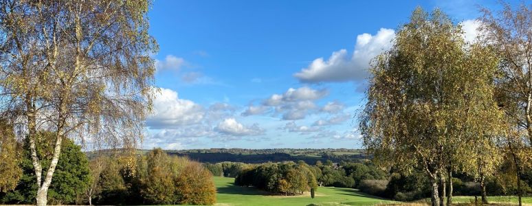 A view of Allestree Park with Autumn trees