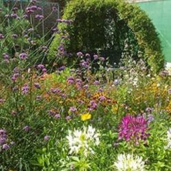 Friends of Markeaton Park Afternoon Tea