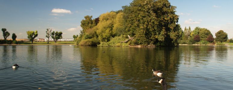 Markeaton Park lake