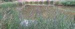 lake surrounded by grass lake surrounded by grass