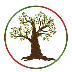 Palestinian Festival of Culture and Film 2026
