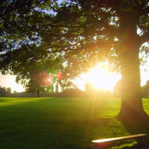 Image for Markeaton Park