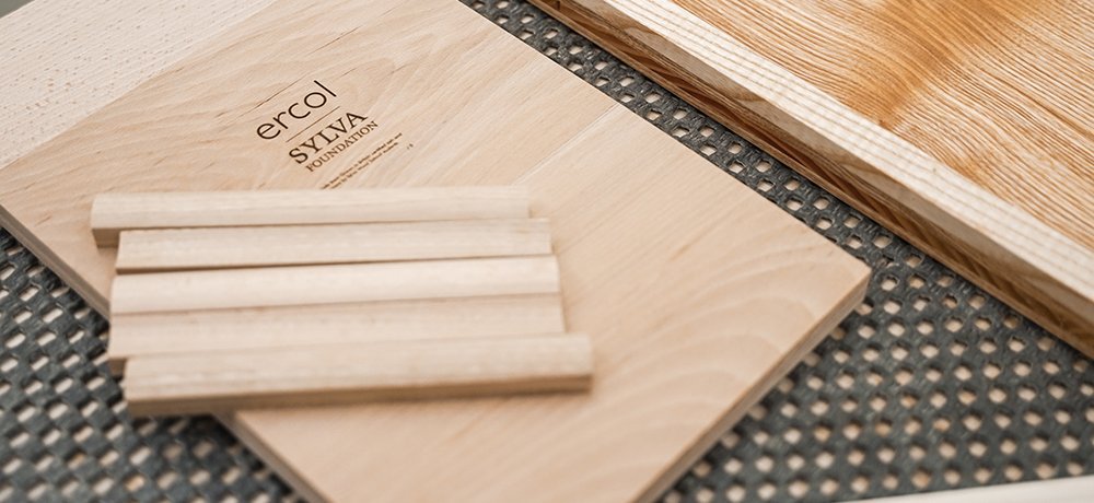 ercol x Sylva Foundation wood samples