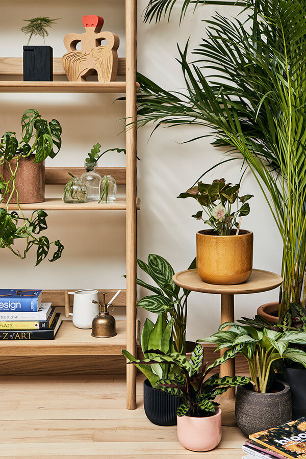 Close up of Ballata shelving unit alongside lush greenery