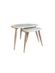 Pebble Nest Of Two Tables in Ash CM