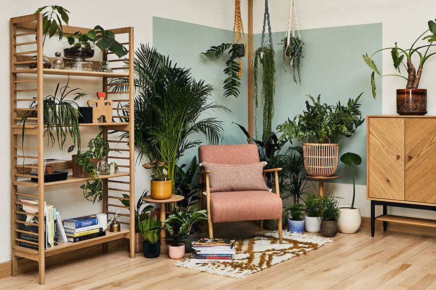 Photography: Beth Davis www.beth-davis.co.uk A living space containing a Marlia chair, Ballatta shelving unit and Monza universal cabinet, surrounded by plants