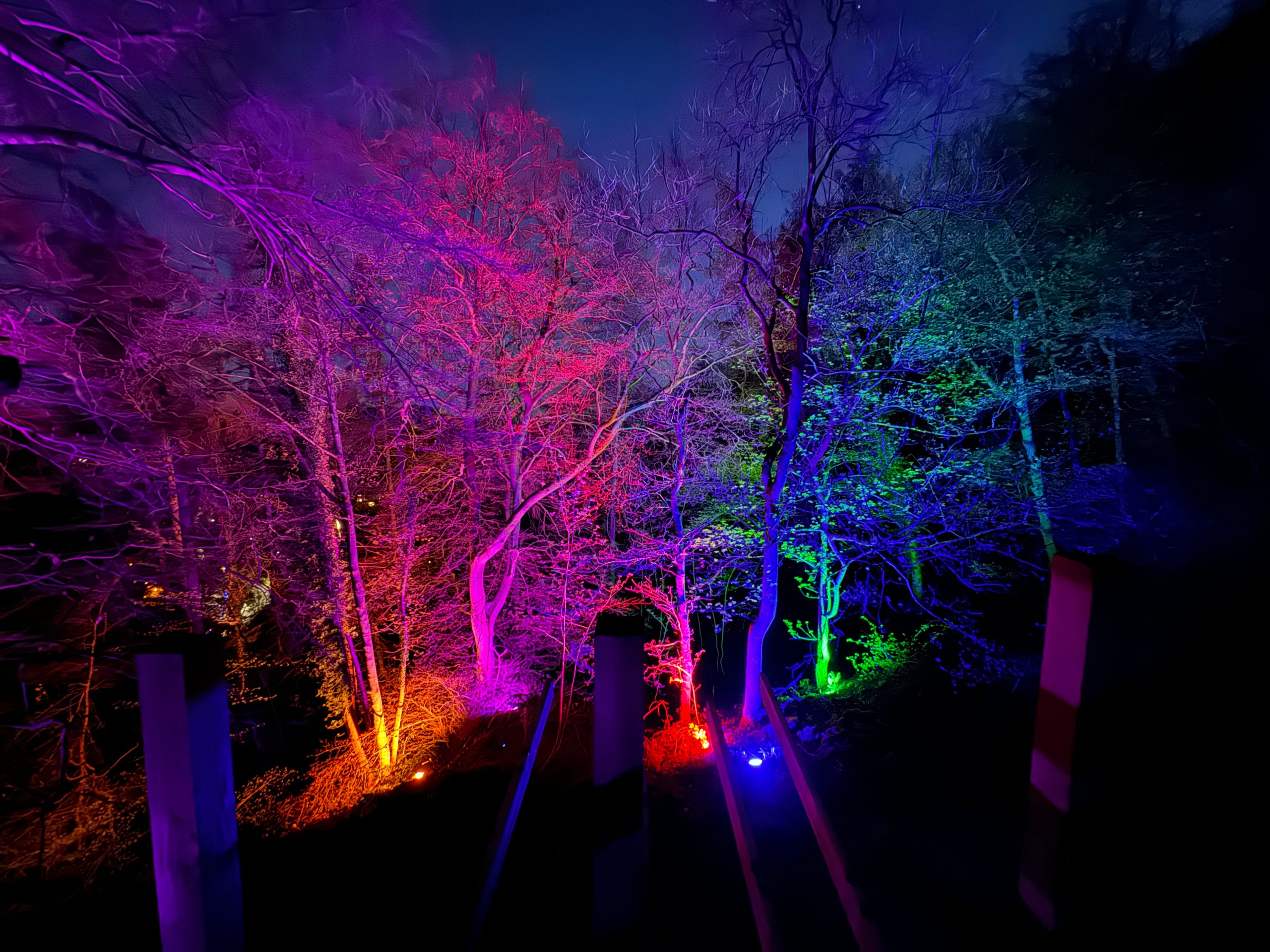 winter-lights-trail-2024-heights-of-abraham