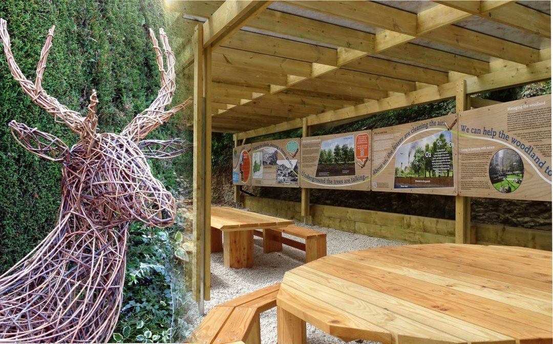 Woodland corner