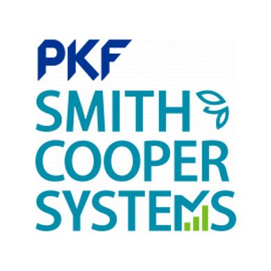 PKF Smith Cooper Systems logo