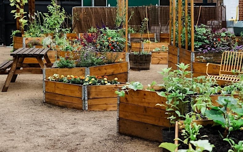 Garden at Electric Daisy Derby