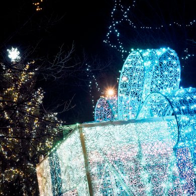 Christmas Lights at Derby Market Place