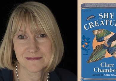 Menu image for Clare Chambers: Shy Creatures - Part of Summer Derby Book Festival