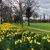 Image for Chester Green