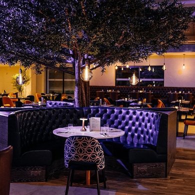 Nicco Restaurant & Bar Interior shot of dining area and tree