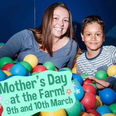 Mother's Day at the Farm special offer artwork