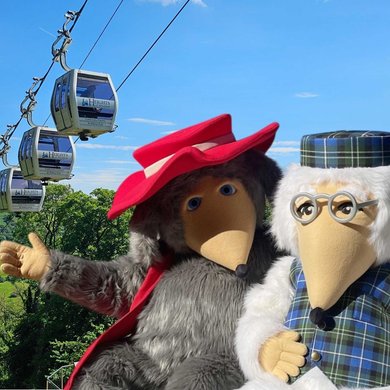 Menu image for The Wombles at the Heights of Abraham