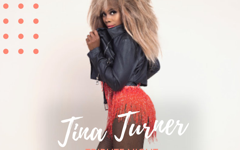 Tina Tina Tribute Night at Derby Conference Centre event artwork