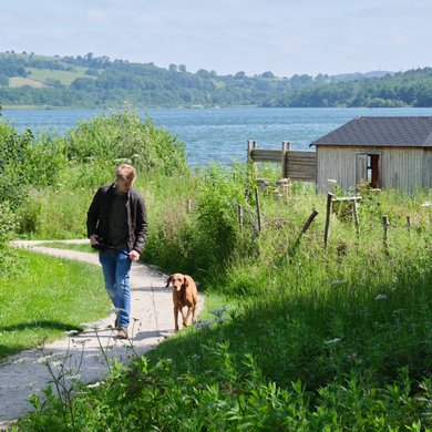 Dog walker at Carsington Water