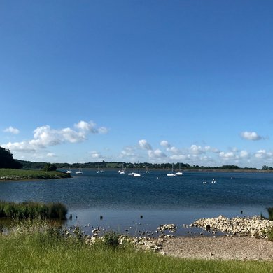 Carsington Water view