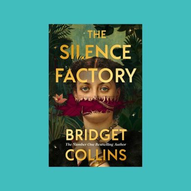 Bridget Collins book cover