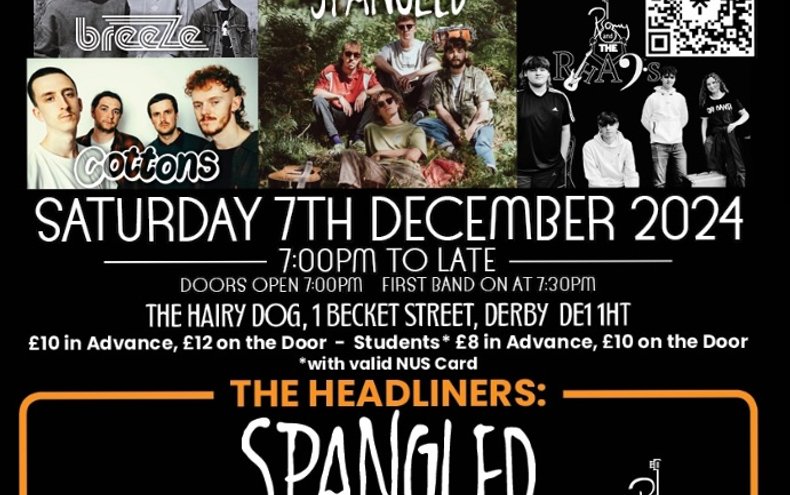 The Indie Night