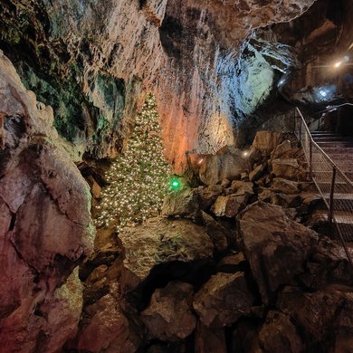 Treak Cliff Candle Light Tree