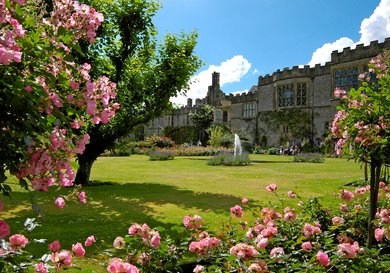 Menu image for Haddon Hall