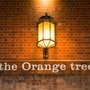 Image for The Orange Tree