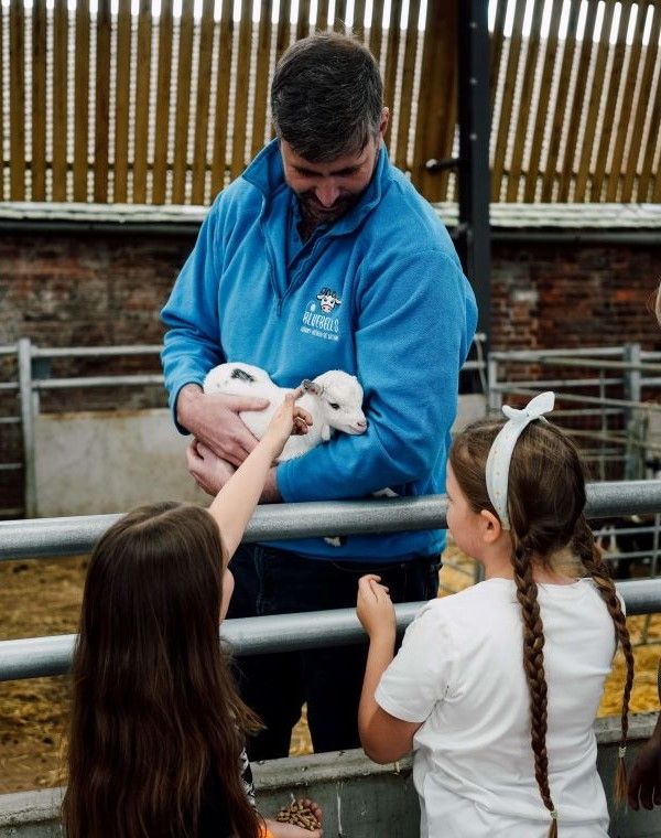 Feeding a lamb at Bluebells