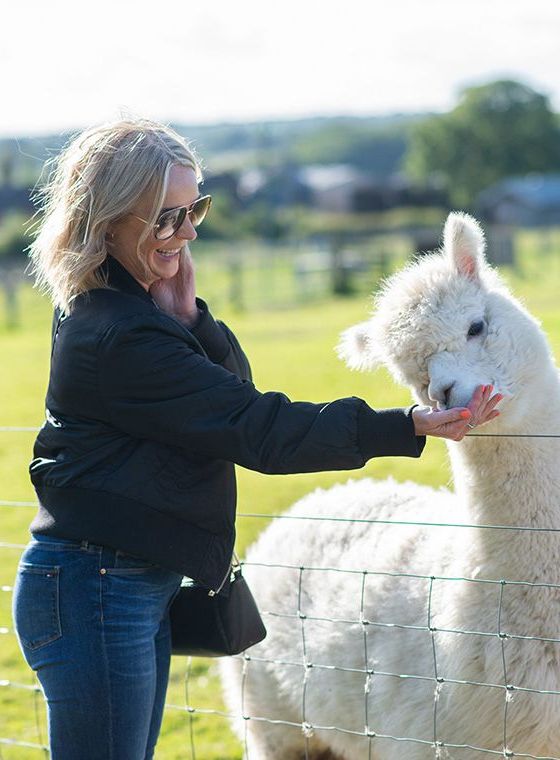 Smiling woman feeding an alpaca