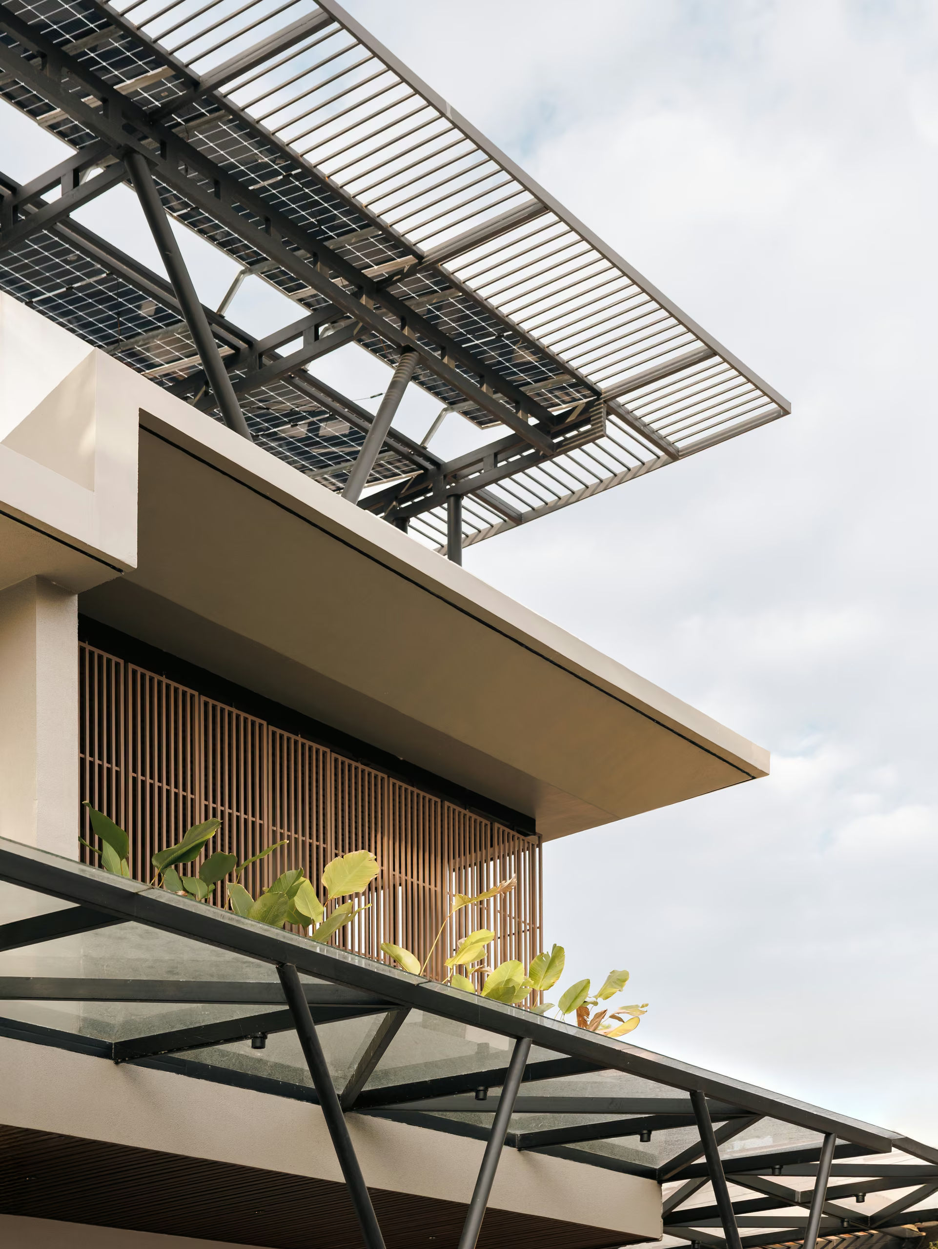 Between Concrete and Canopy